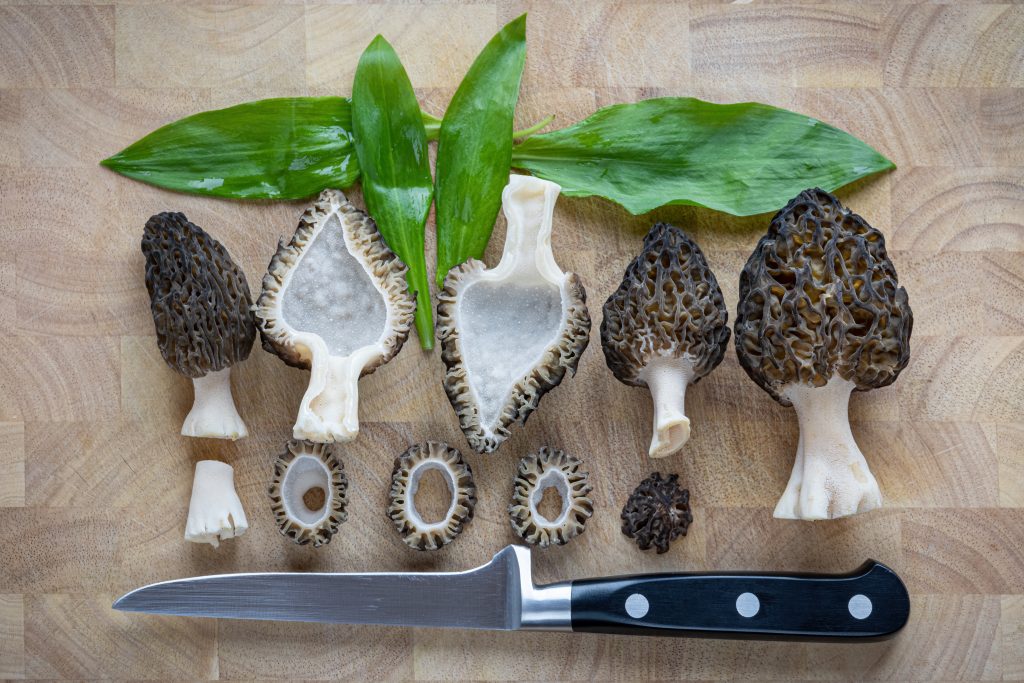 A sliced true morel mushroom showing a hollow interior for identification